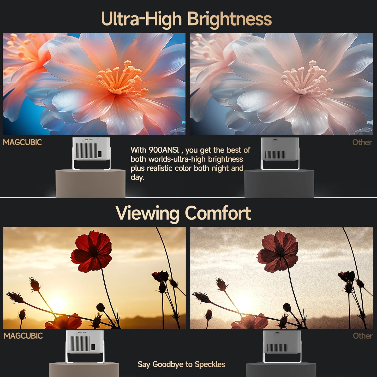 S24a7edda58314c2b8c079e5b6a5d822dE